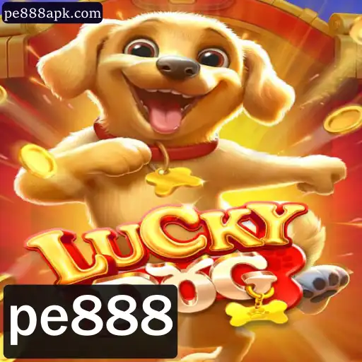 Explorando o Universos de LuckyDog: Uma Imersão nas Regras e Experiências Recentes